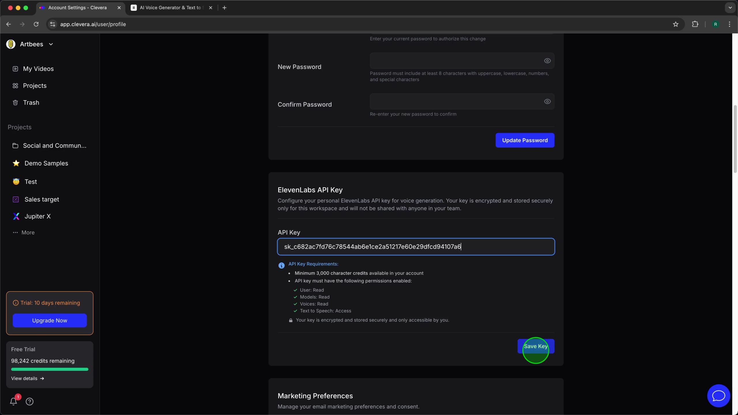 API Key input field in Clevera after pasting the new key